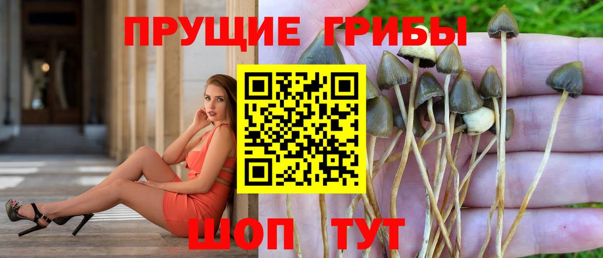 Галлюциногенные грибы MAGIC MUSHROOMS Тольятти